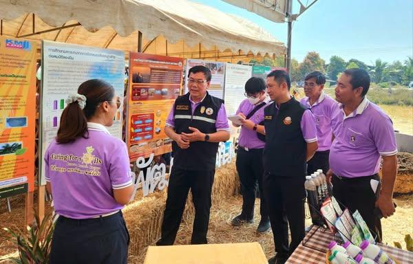 ภาพประกอบที่ 2