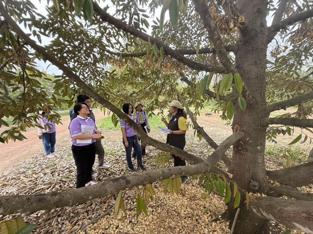 ภาพประกอบที่ 6