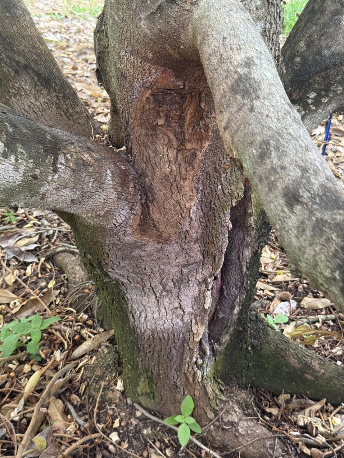 ภาพประกอบที่ 5