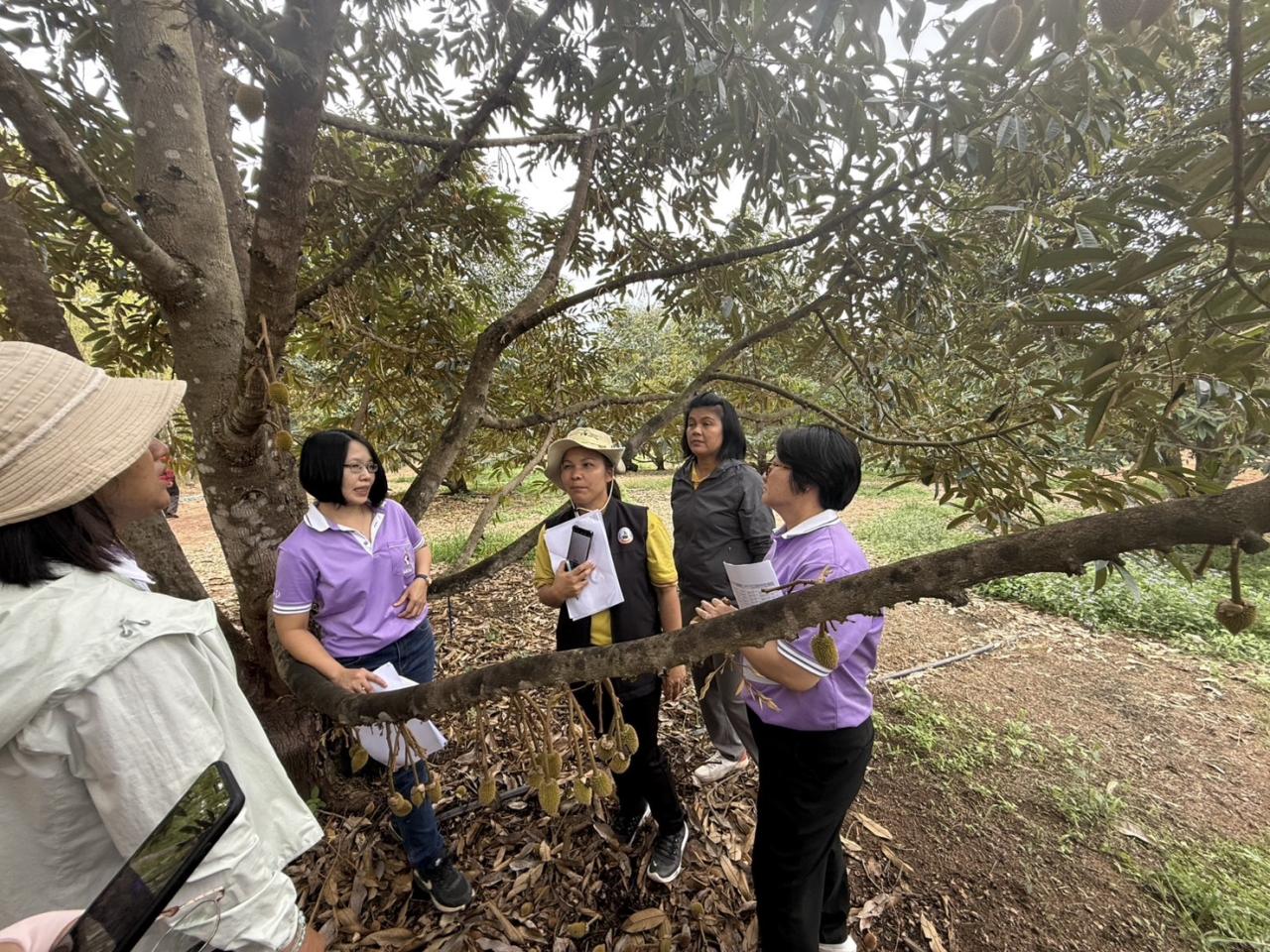 ภาพประกอบที่ 4