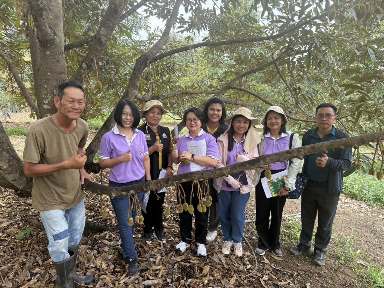 ภาพประกอบที่ 3