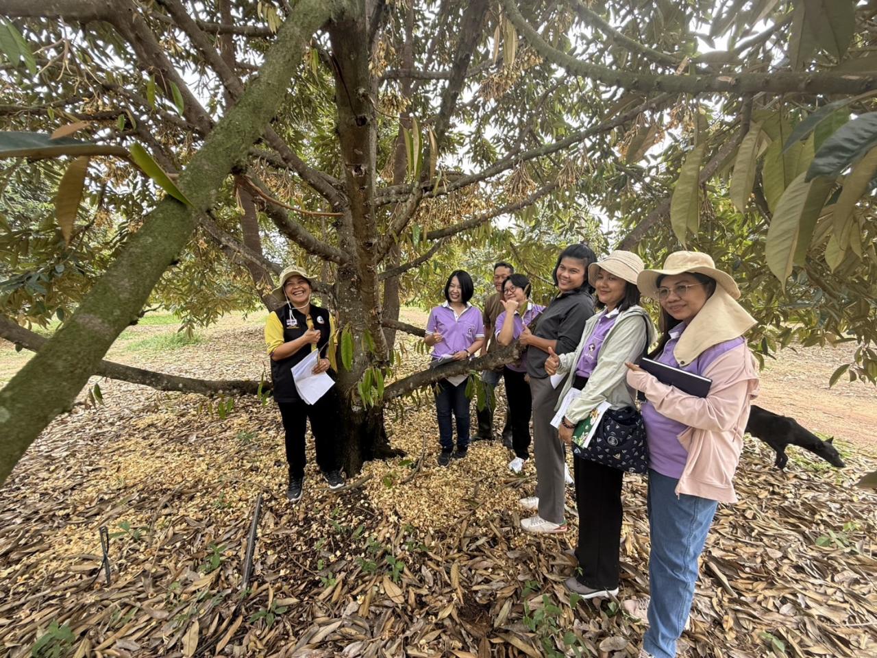 ภาพประกอบที่ 2