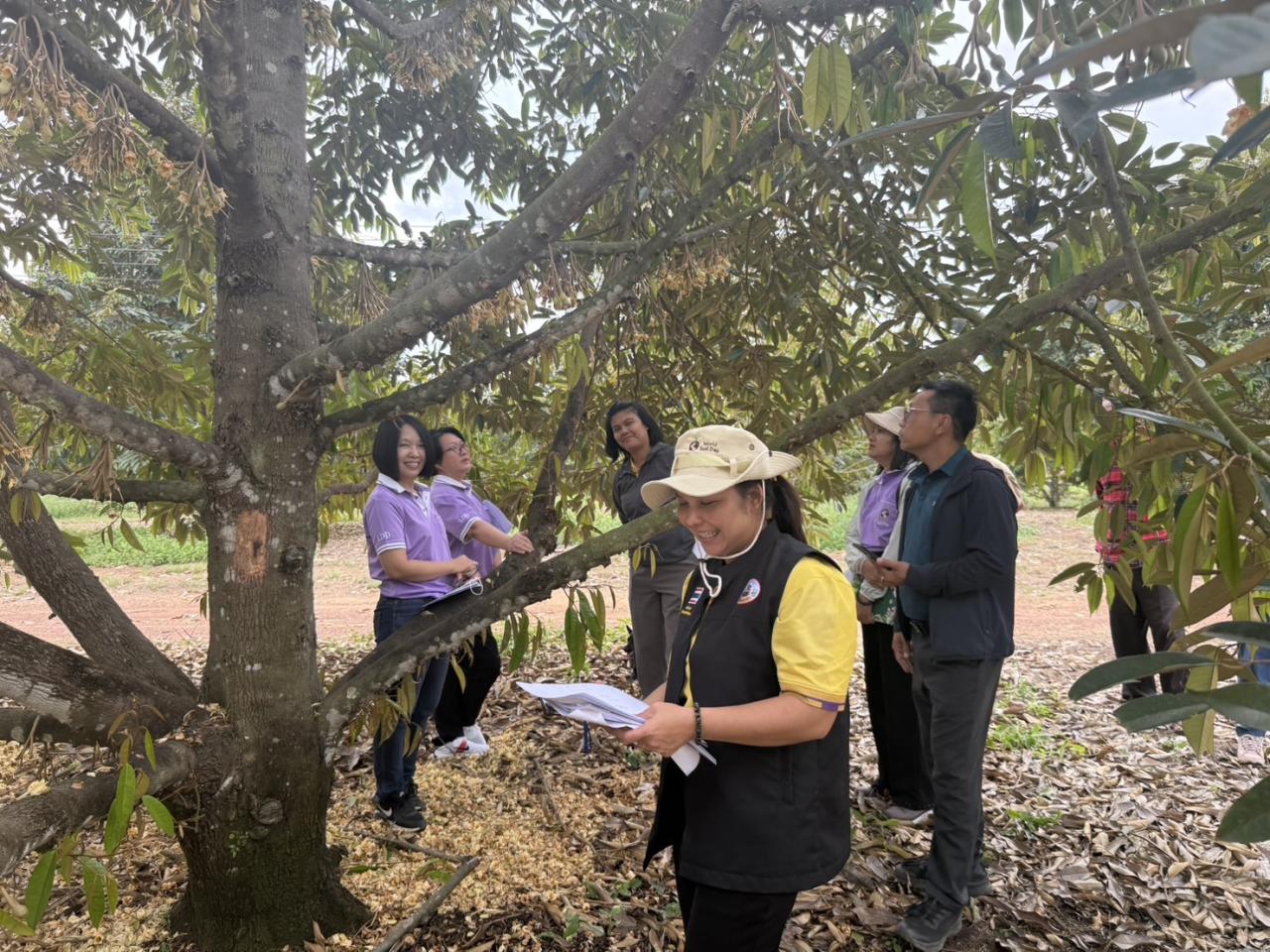 ภาพประกอบที่ 1