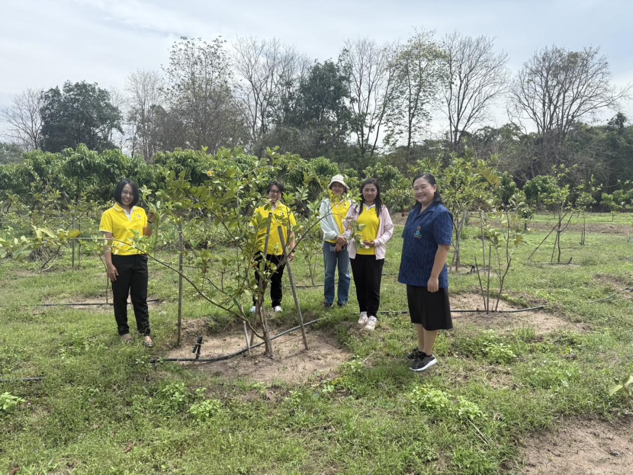 ภาพประกอบที่ 1