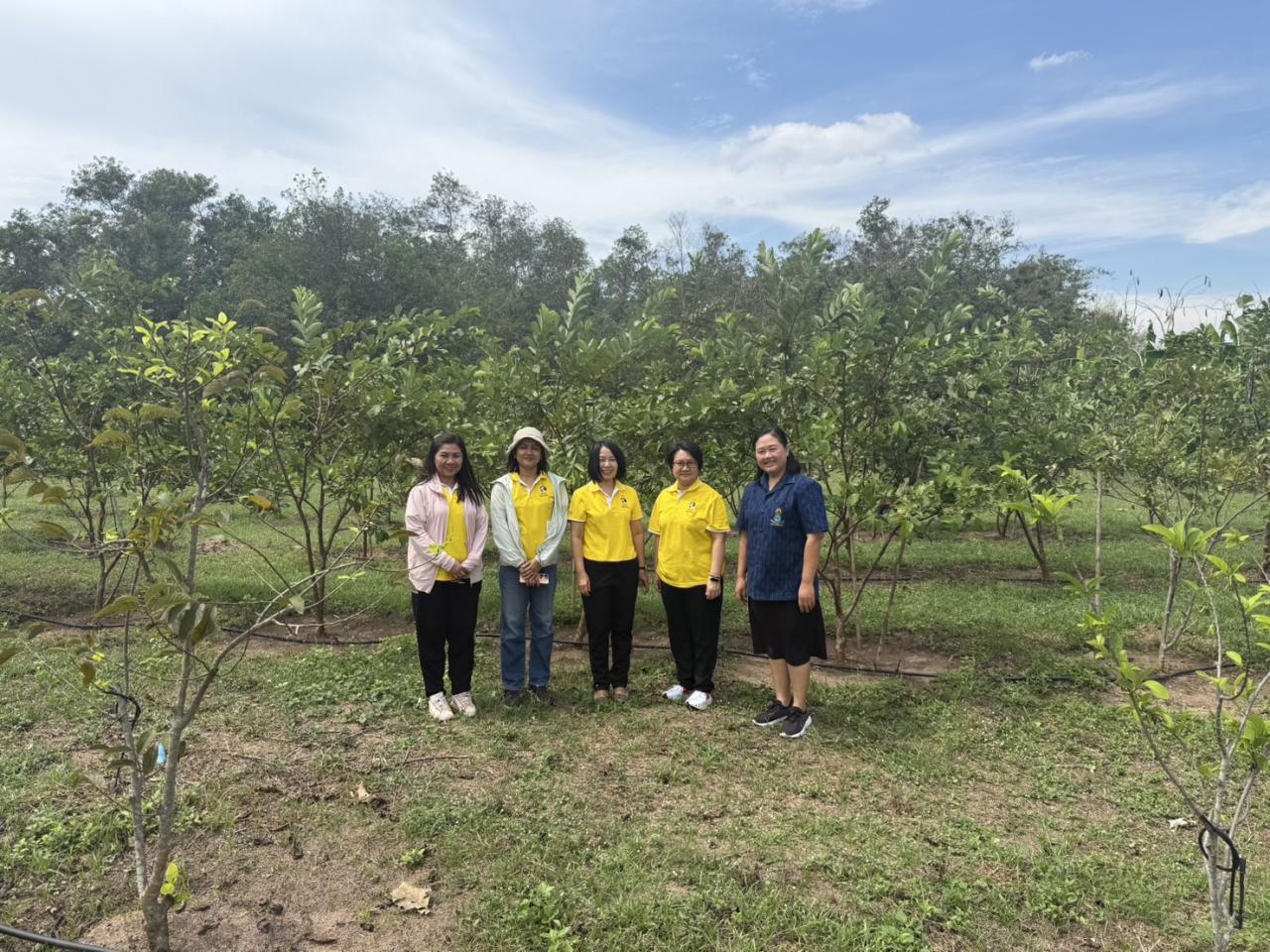 ภาพประกอบที่ 0