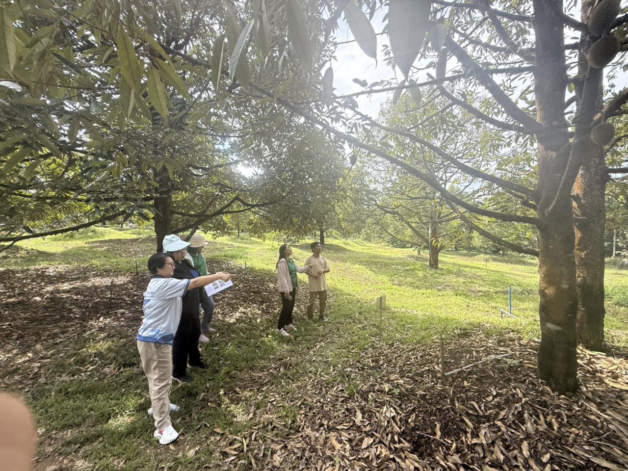 ภาพประกอบที่ 4