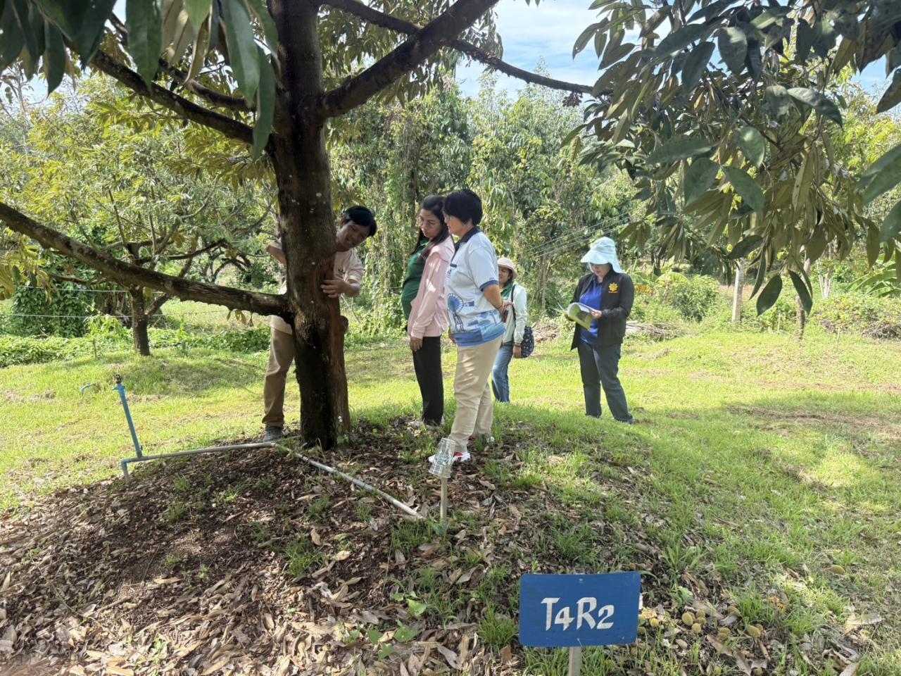 ภาพประกอบที่ 2