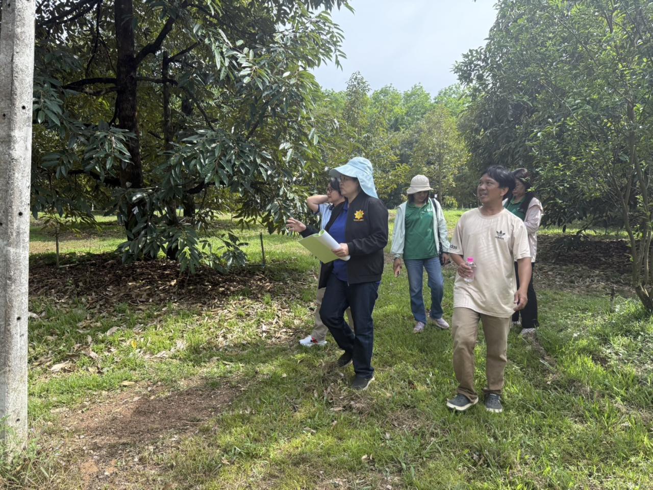 ภาพประกอบที่ 1