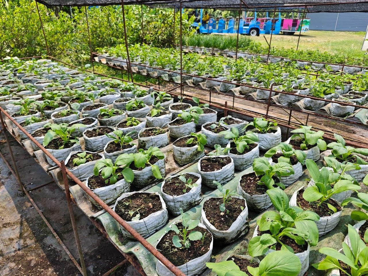 ภาพประกอบที่ 18