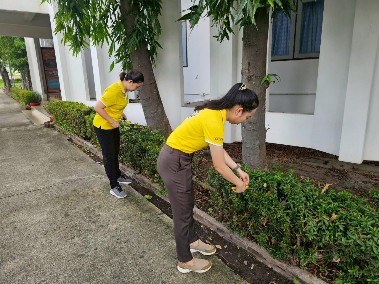 ภาพประกอบที่ 14