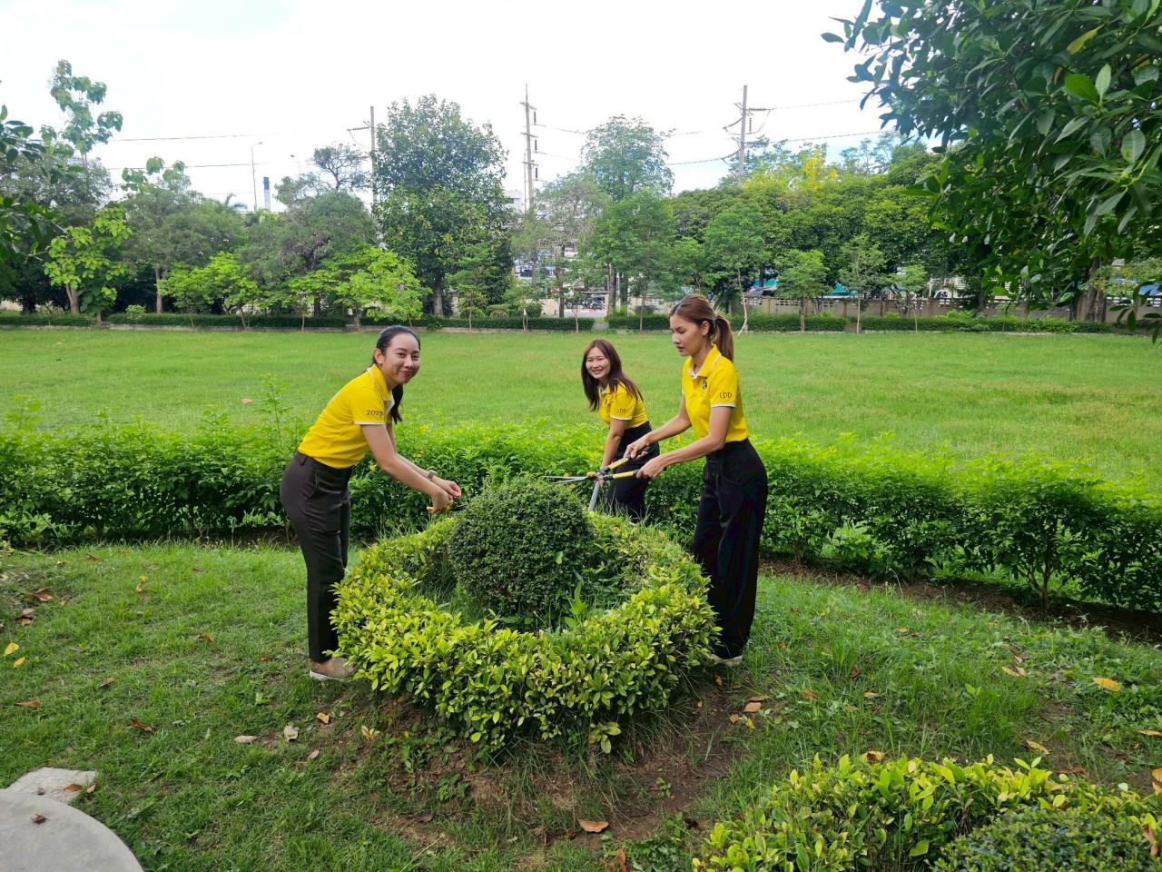 ภาพประกอบที่ 13