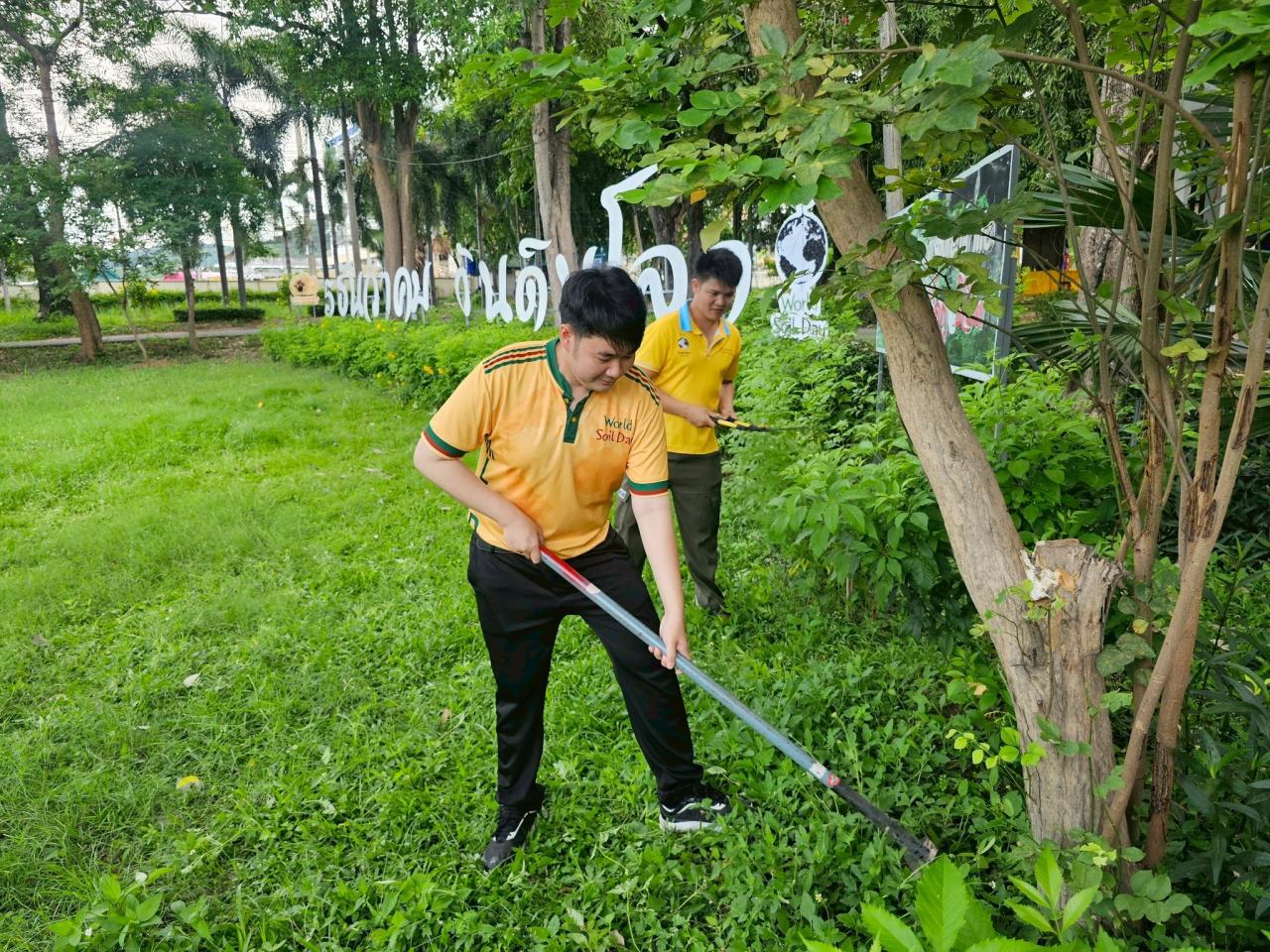 ภาพประกอบที่ 12