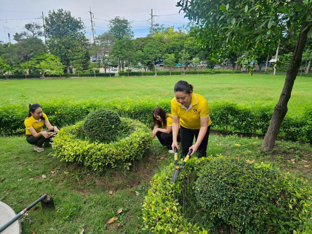 ภาพประกอบที่ 11