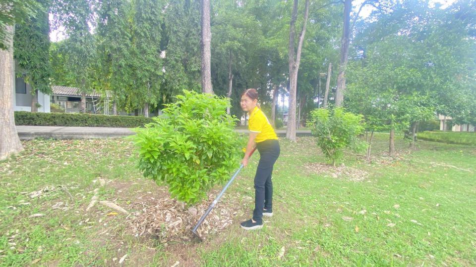 ภาพประกอบที่ 7