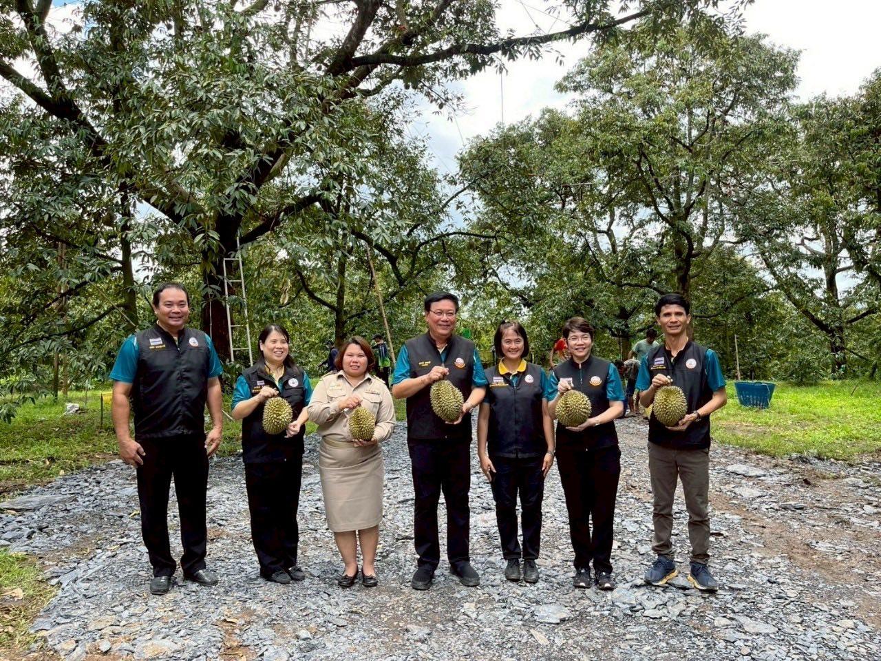 ภาพประกอบที่ 8