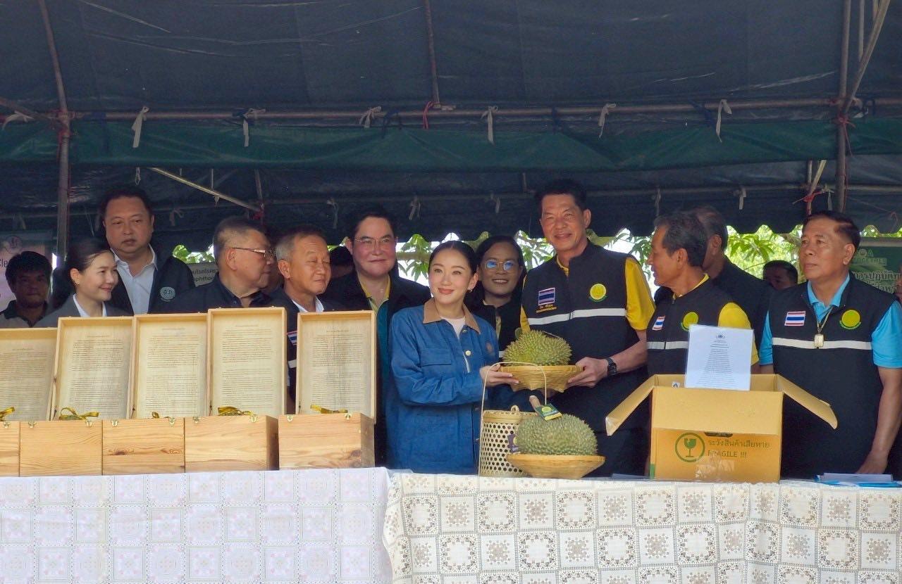 ภาพประกอบที่ 7