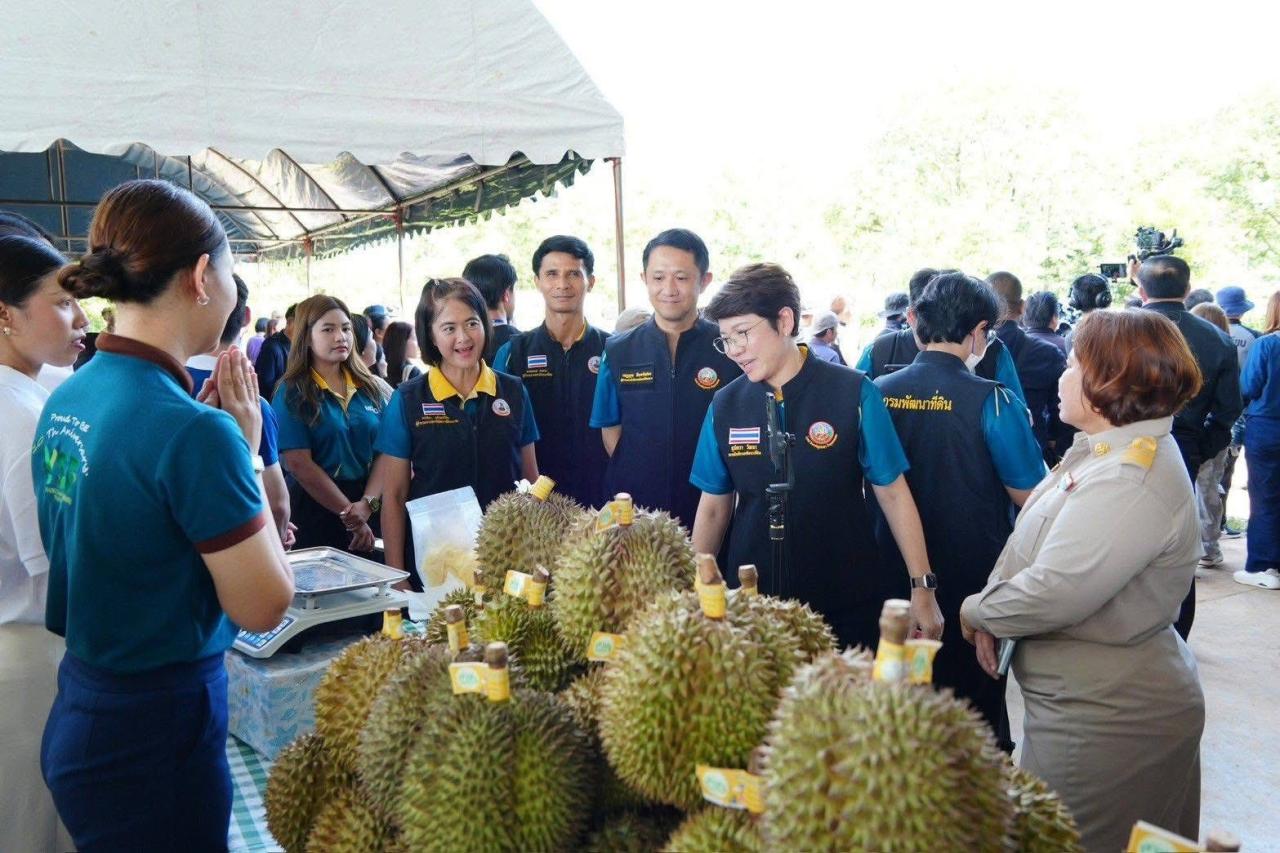 ภาพประกอบที่ 5
