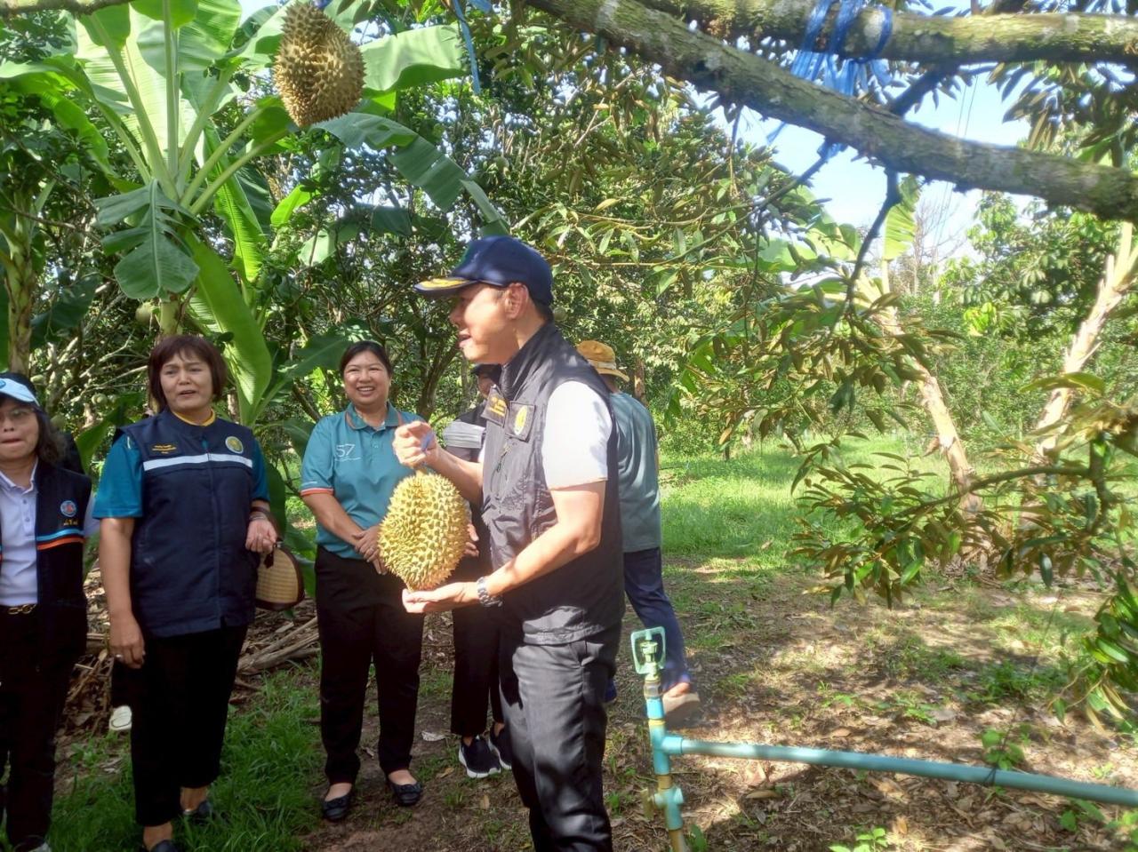 ภาพประกอบที่ 6