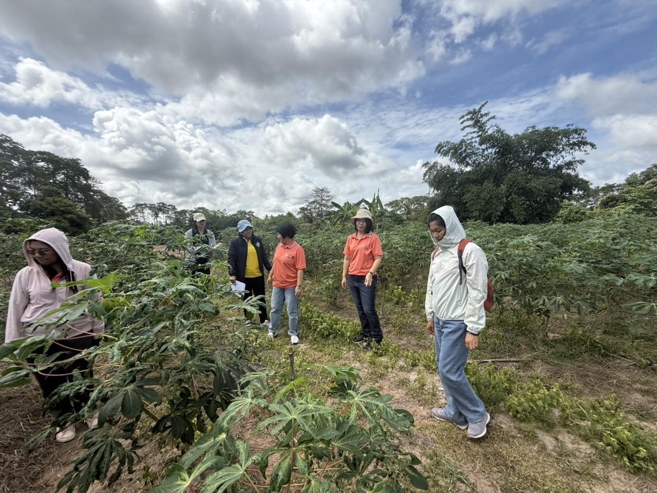 ภาพประกอบที่ 9