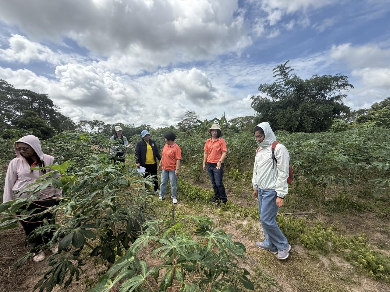 ภาพประกอบที่ 2