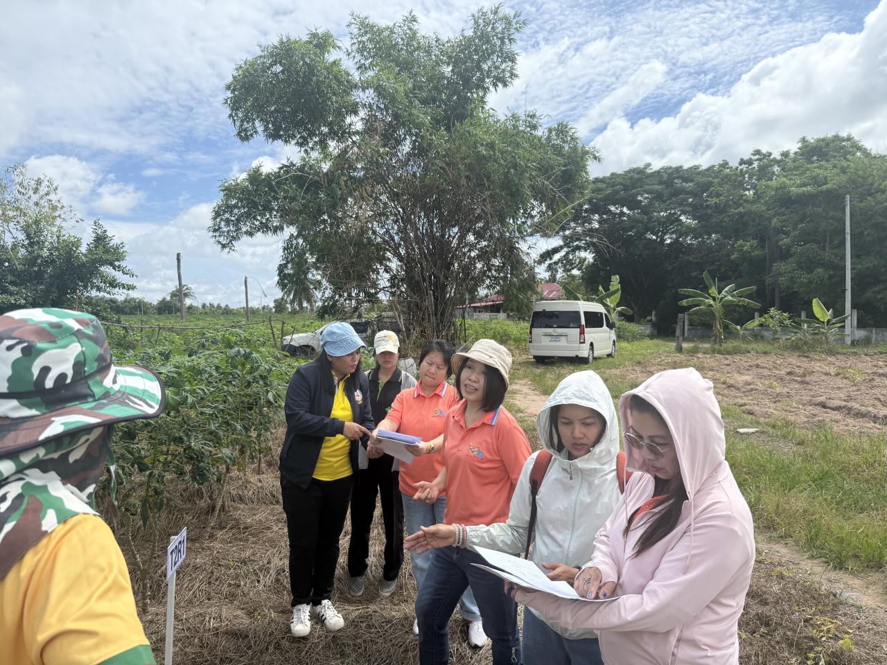 ภาพประกอบที่ 0