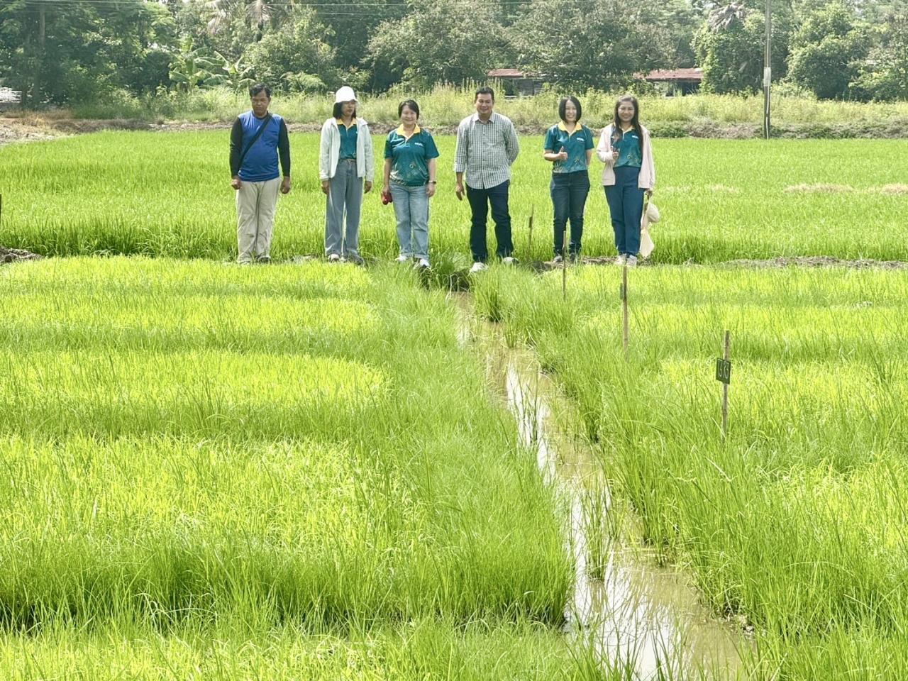 ภาพประกอบที่ 4