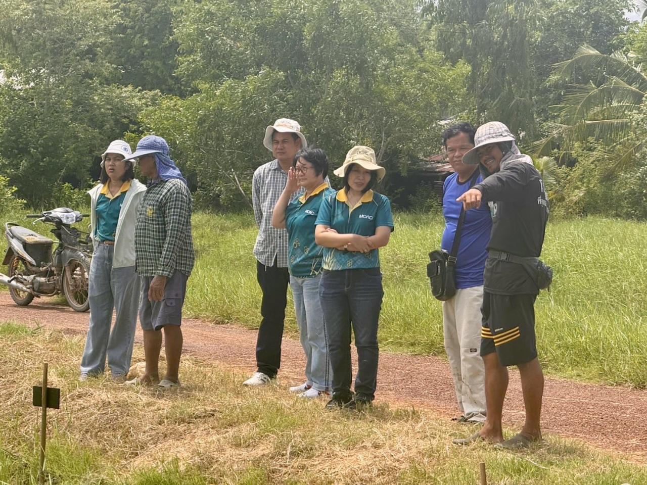 ภาพประกอบที่ 0