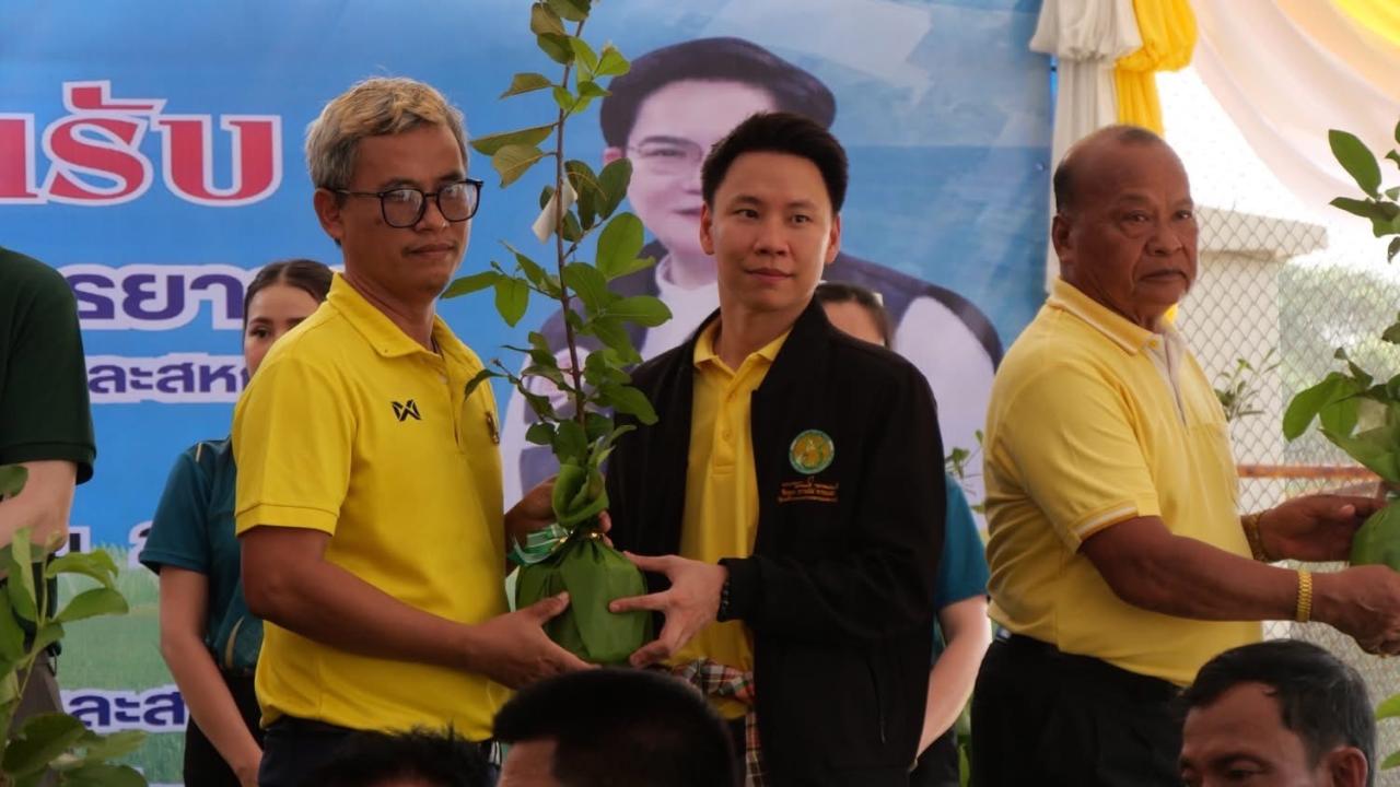 ภาพประกอบที่ 12