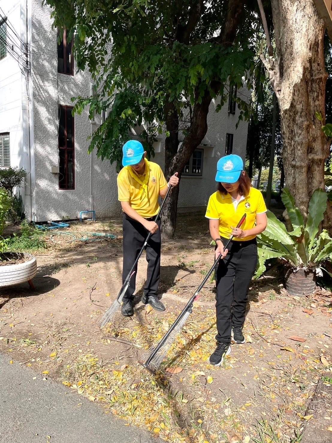 ภาพประกอบที่ 13