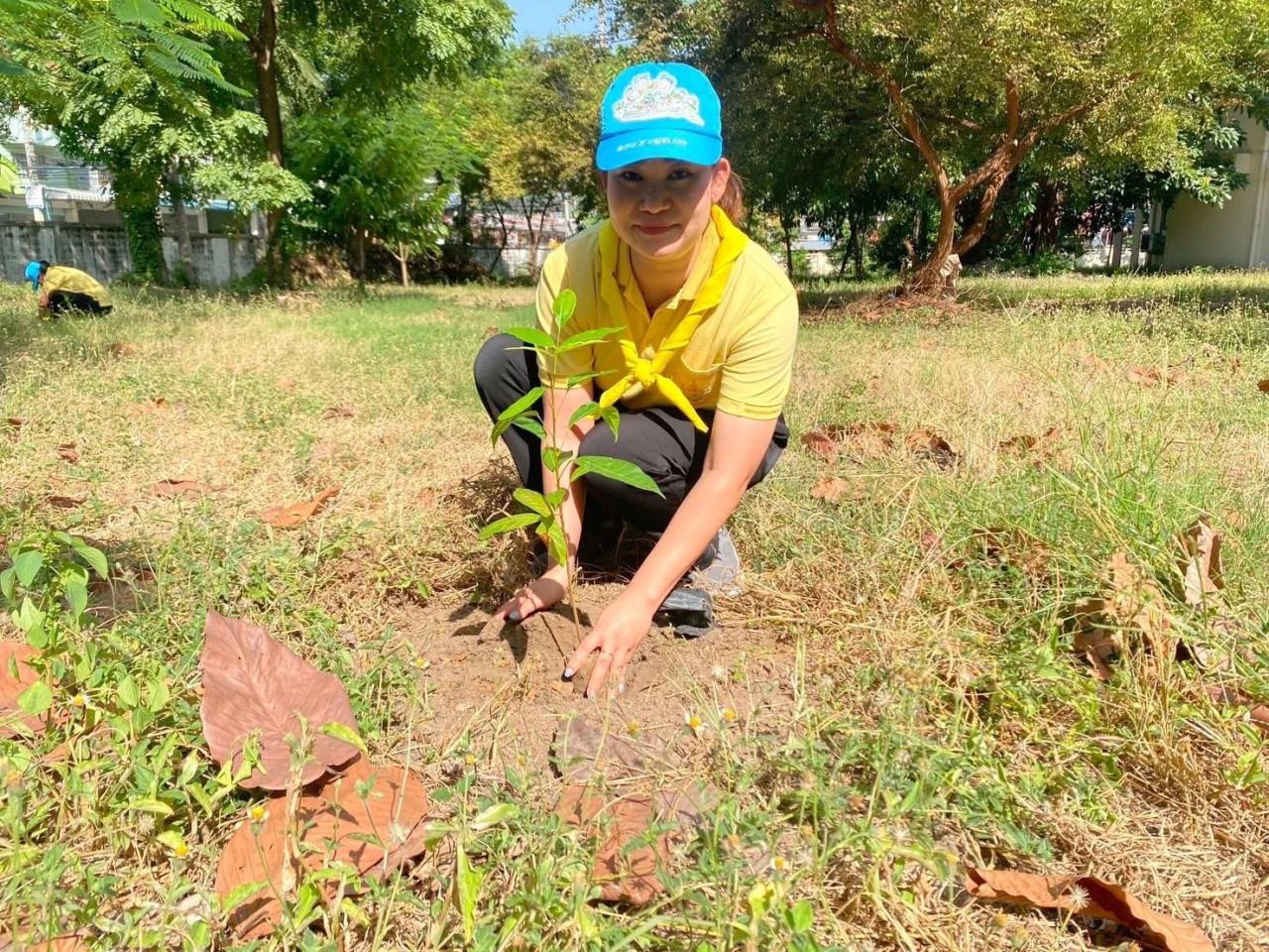 ภาพประกอบที่ 8