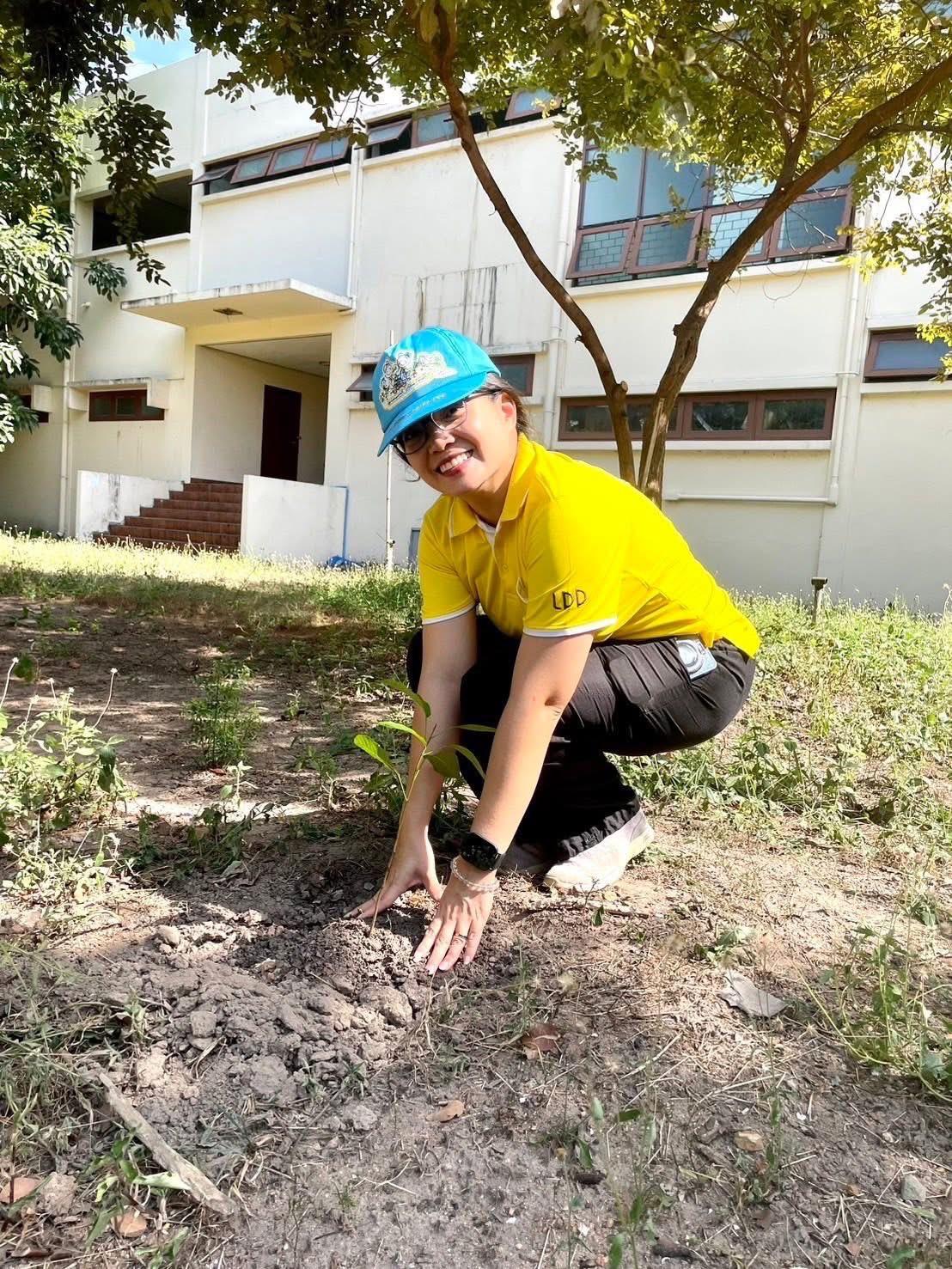 ภาพประกอบที่ 6