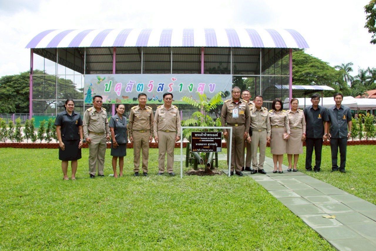 ภาพประกอบที่ 21