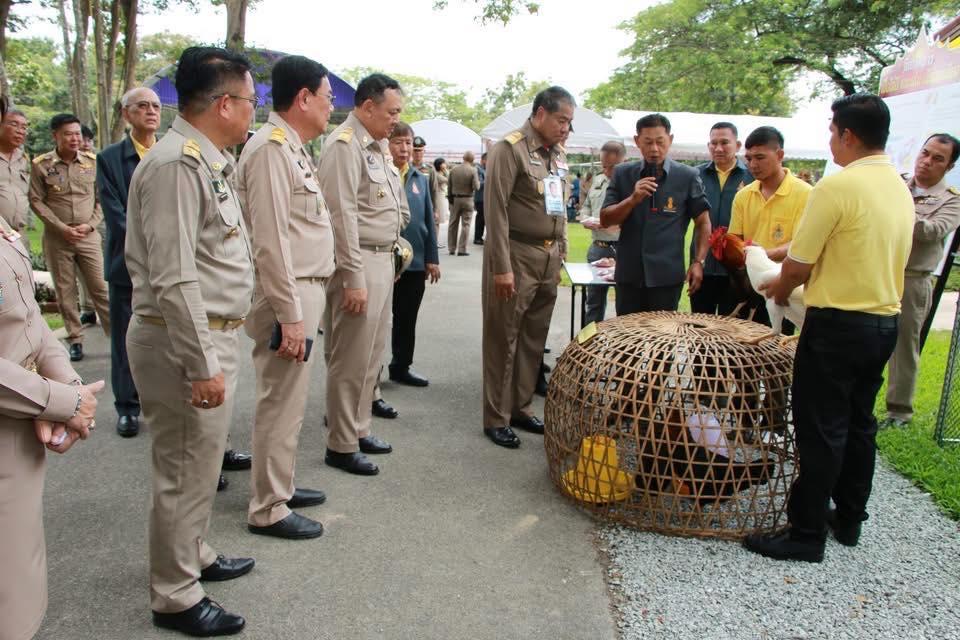 ภาพประกอบที่ 16