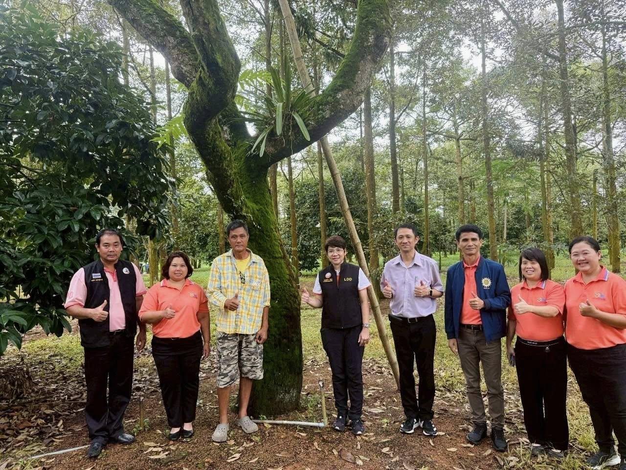 ภาพประกอบที่ 12