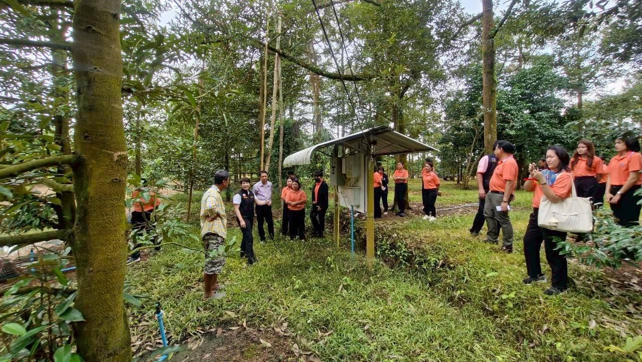 ภาพประกอบที่ 11