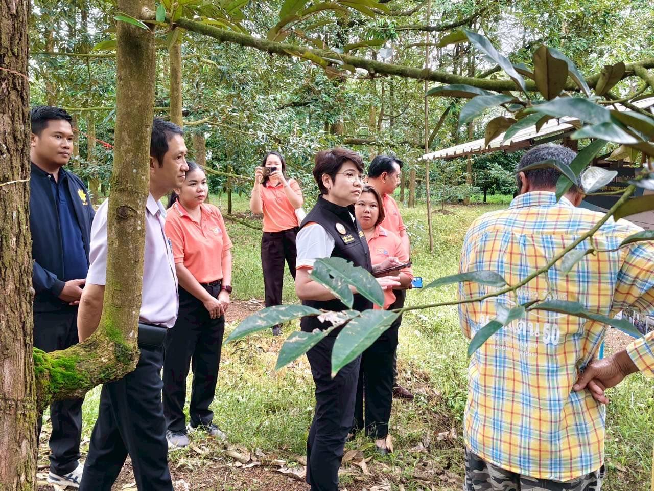 ภาพประกอบที่ 8