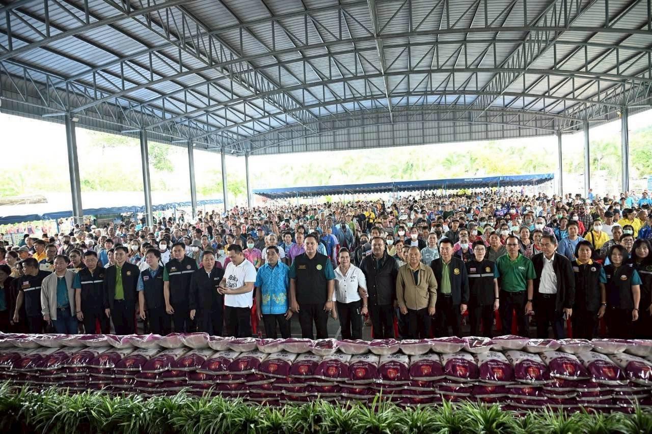 ภาพประกอบที่ 12