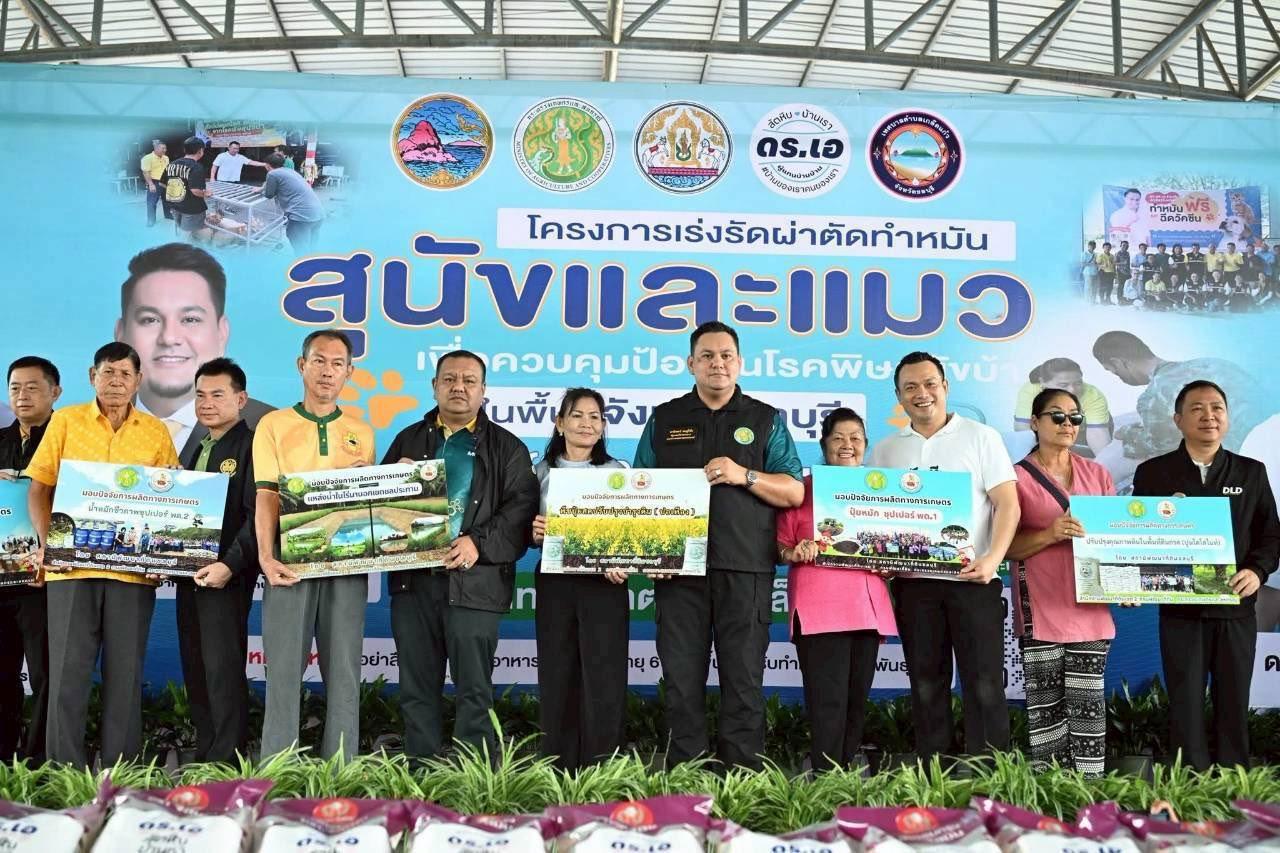 ภาพประกอบที่ 7