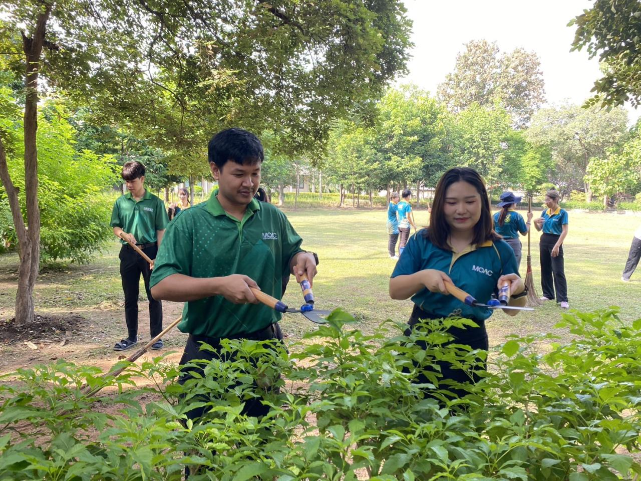 ภาพประกอบที่ 13