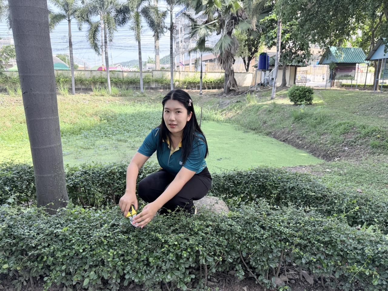 ภาพประกอบที่ 12