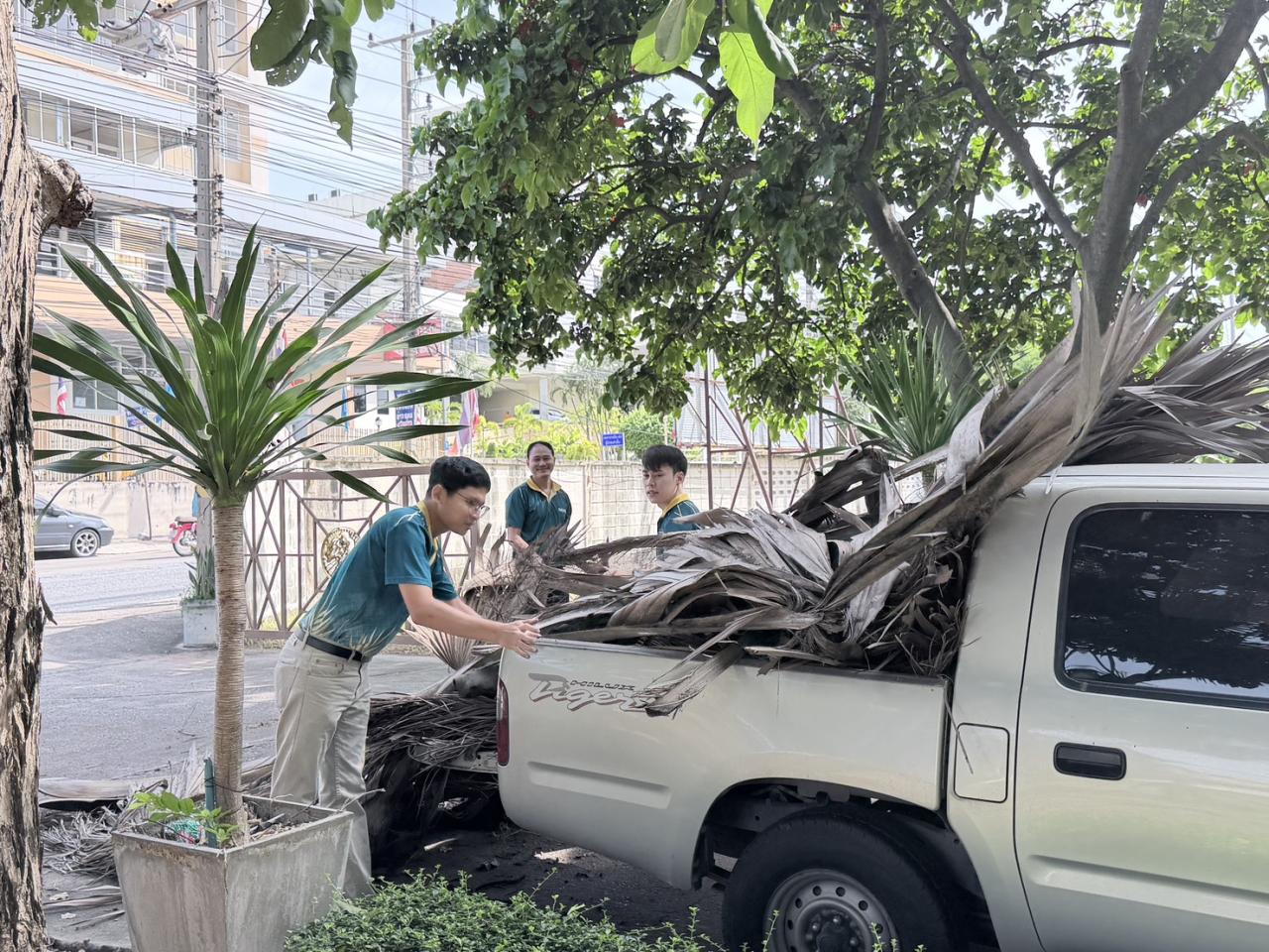 ภาพประกอบที่ 11