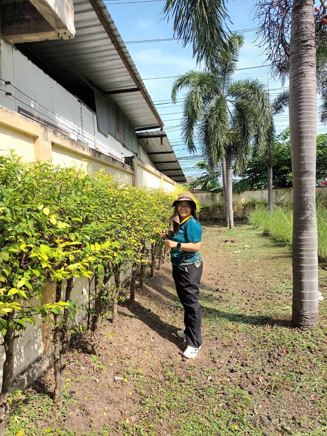 ภาพประกอบที่ 10