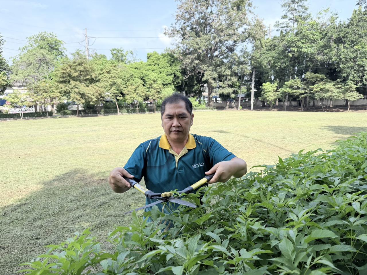 ภาพประกอบที่ 4