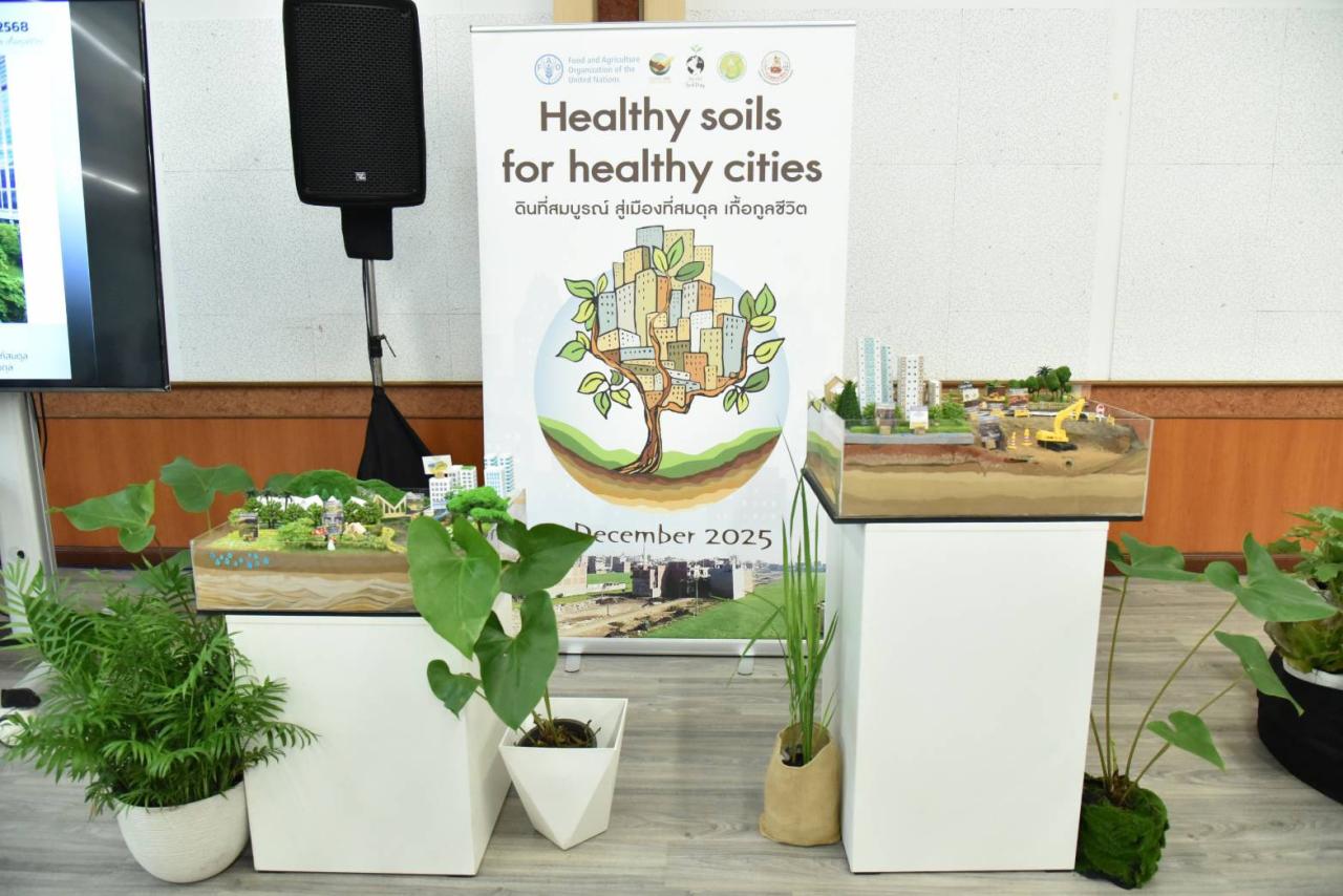 ภาพประกอบที่ 9