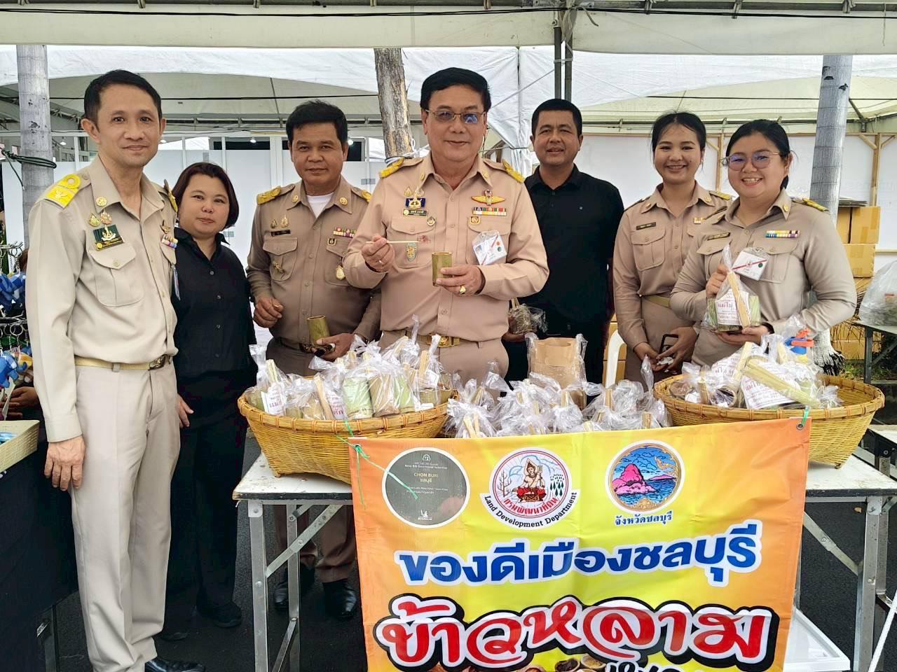 ภาพประกอบที่ 11