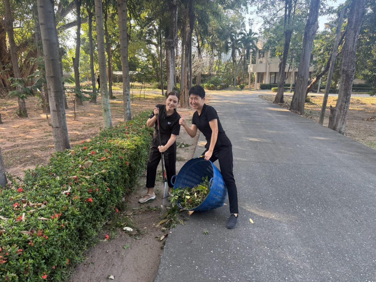 ภาพประกอบที่ 12