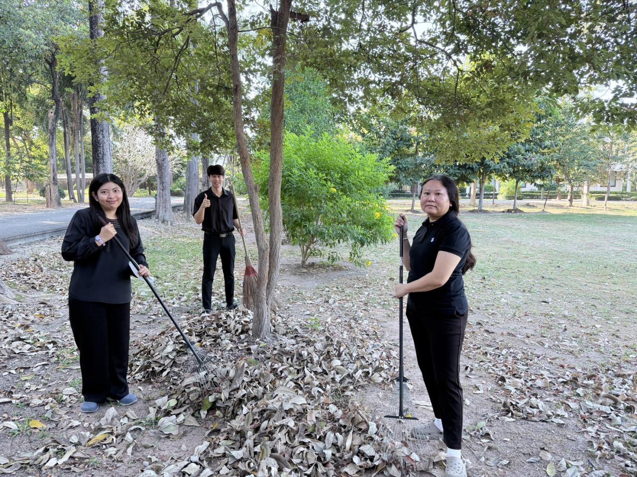 ภาพประกอบที่ 11