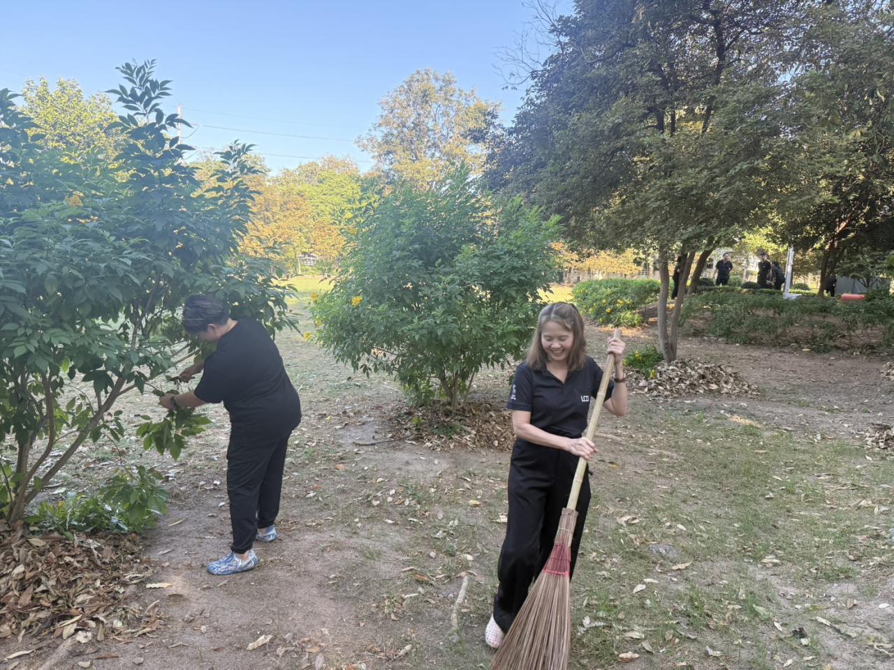 ภาพประกอบที่ 10