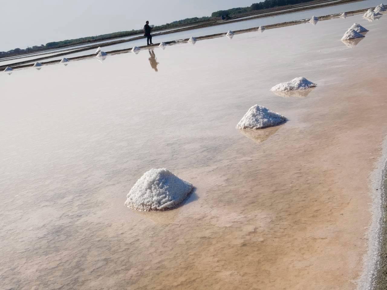 ภาพประกอบที่ 5