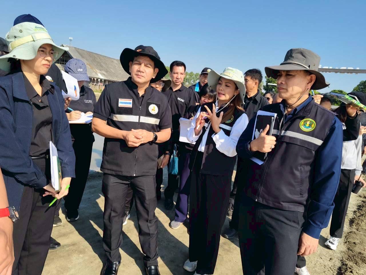 ภาพประกอบที่ 2